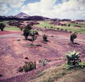 Lanzarote Golf | Golfové zájezdy, golfová dovolená, luxusní golf