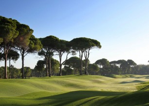 Sueno Golf Club The Pines | Golfové zájezdy, golfová dovolená, luxusní golf