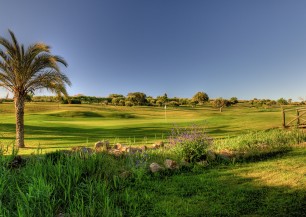 Boavista Golf Course<span class='vzdalenost'>(18 km od hotelu)</span>