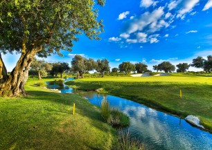 Quinta de Cima