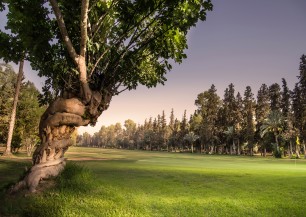 Royal Golf Marrakech  | Golfové zájezdy, golfová dovolená, luxusní golf