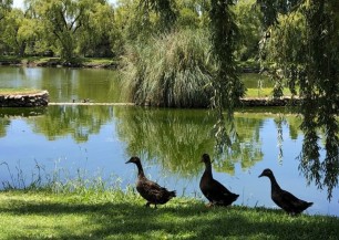 Club de Campo Mendoza  | Golfové zájezdy, golfová dovolená, luxusní golf