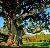 Aloha Golf Club | Golfové zájezdy, golfová dovolená, luxusní golf