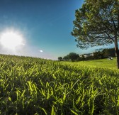 Alenda Golf | Golfové zájezdy, golfová dovolená, luxusní golf