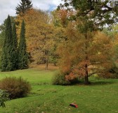 Ringhoffer Golf Club – Štiřín | Golfové zájezdy, golfová dovolená, luxusní golf