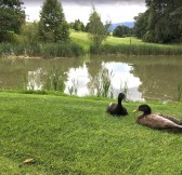 Golf Club Liberec - Machnín | Golfové zájezdy, golfová dovolená, luxusní golf