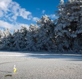 Black Stork Golf Resort | Golfové zájezdy, golfová dovolená, luxusní golf