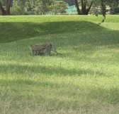 Royal Nairobi Golf Club | Golfové zájezdy, golfová dovolená, luxusní golf