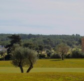 T Golf & Country Club Poniente S.A.U. | Golfové zájezdy, golfová dovolená, luxusní golf