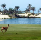 Saadiyat Beach Golf Club | Golfové zájezdy, golfová dovolená, luxusní golf