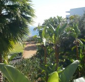 MADEIRA - VIDAMAR RESORTS63