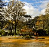 Azory - Sao Miguel - hotel Terra Nostra Garden