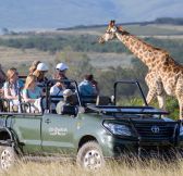 Jar-Gondwana-Private-Game-Reserve-35