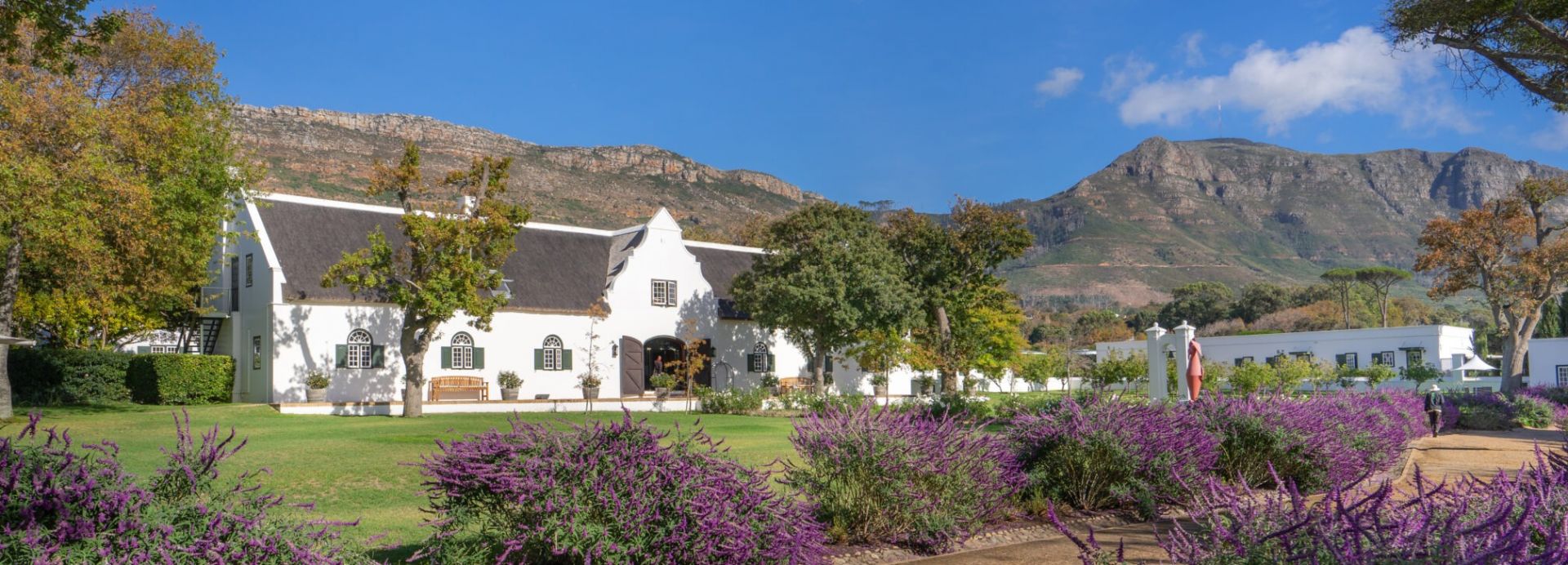 steenberg hotel & spa  *****