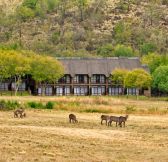 Bakubung Bush Lodge 1