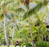 MAURITIUS - LUX LE MORNE 43