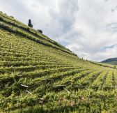 ITALIE - SEELEITEN LAKE SPA HOTEL 21