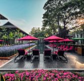 Chala Number 6 Hotel Chiang Mai 2