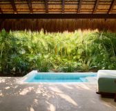 MEXICO - Chable Maroma - JunglePoolVilla_PlungePool
